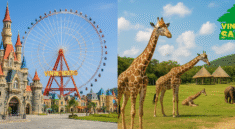 VinWonders, Vinpearl Safari